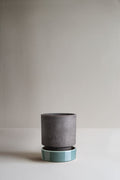 8cm / Grey (raw)