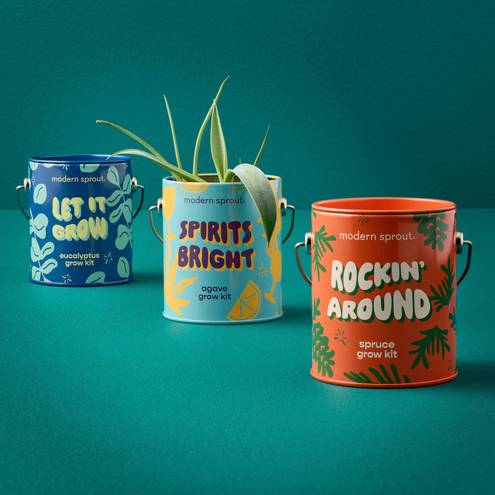 Holiday Grow Kits | Modern Sprout