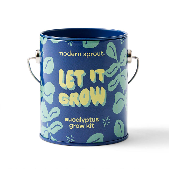 Holiday Grow Kits | Modern Sprout