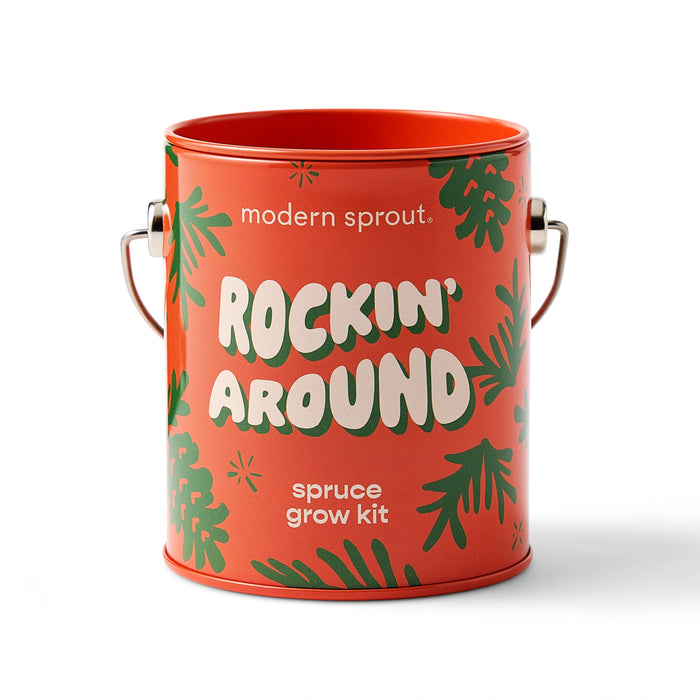 Holiday Grow Kits | Modern Sprout