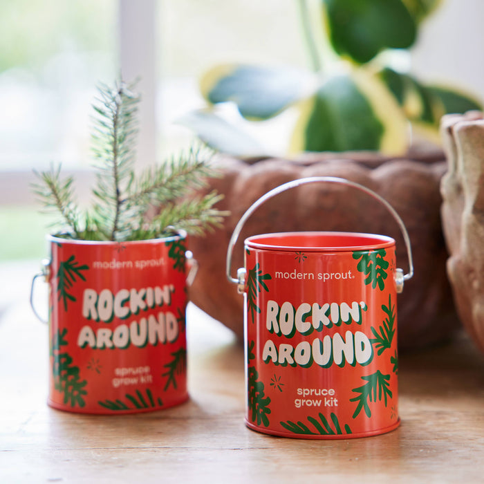 Holiday Grow Kits | Modern Sprout