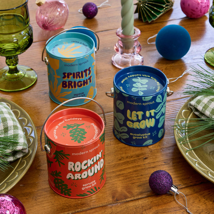 Holiday Grow Kits | Modern Sprout