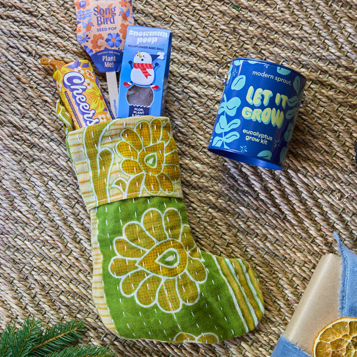 Holiday Grow Kits | Modern Sprout