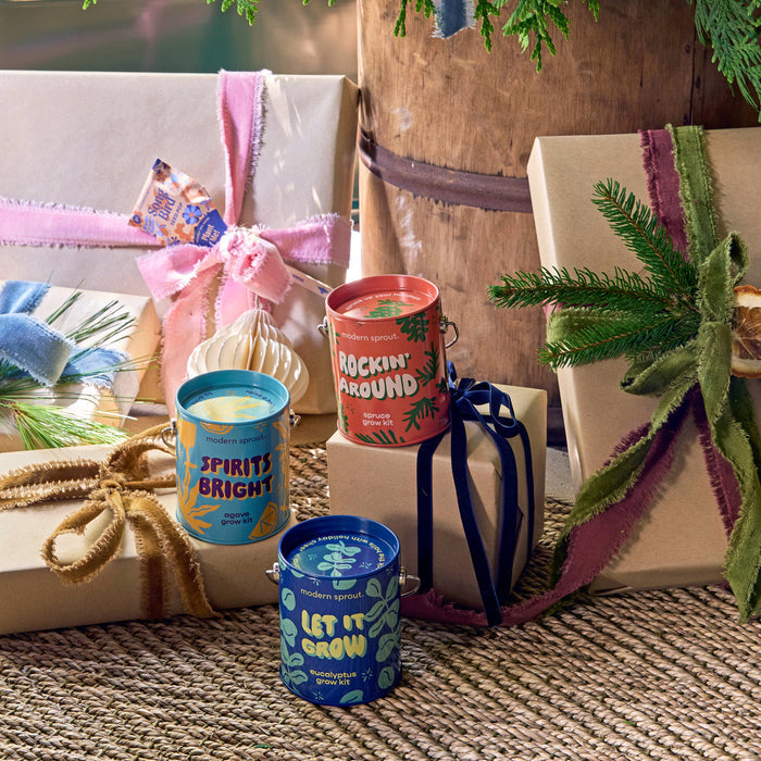 Holiday Grow Kits | Modern Sprout