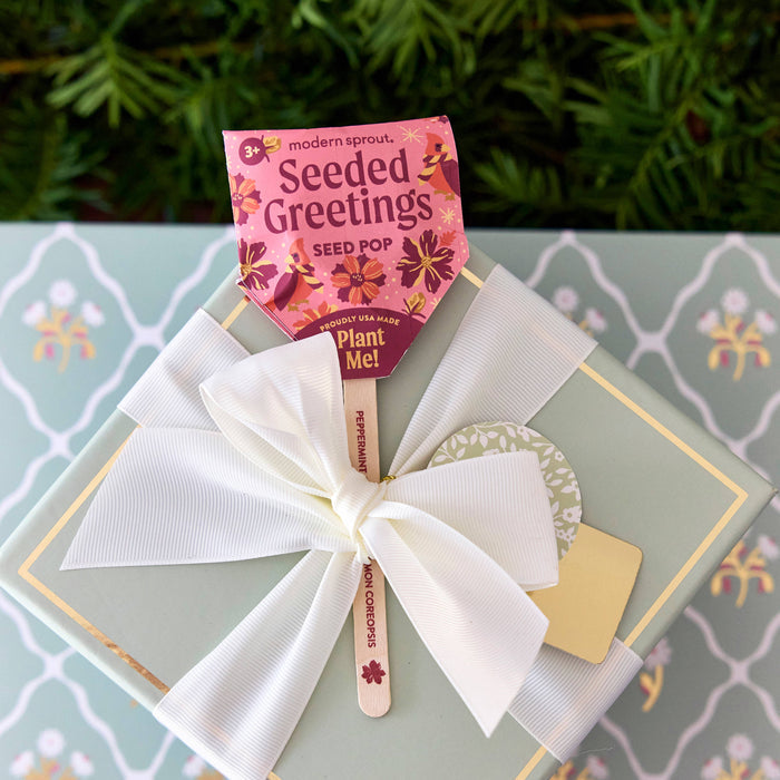 Holiday Seed Pop (Single)