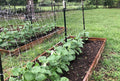 Hortonova Trellis Netting 48" x 16'