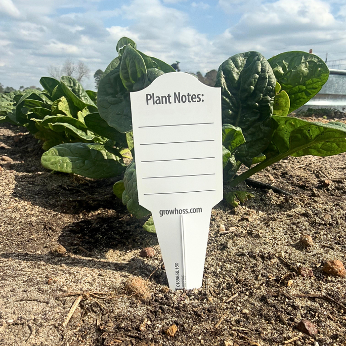 Plant label with 'growhoss.com' on a plant in a garden setting