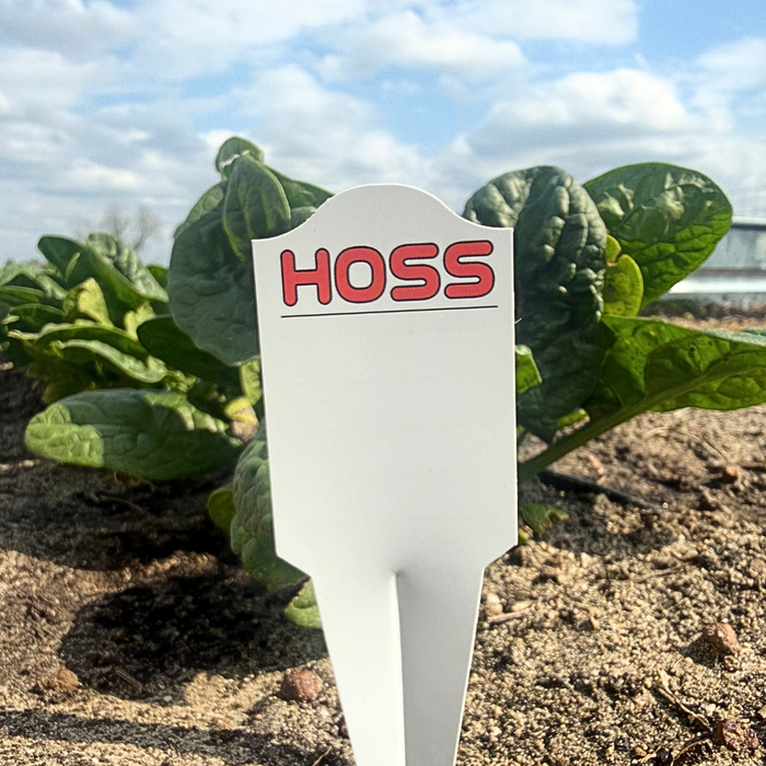 White plant marker with 'HOSS' in red text standing in a garden with green plants.