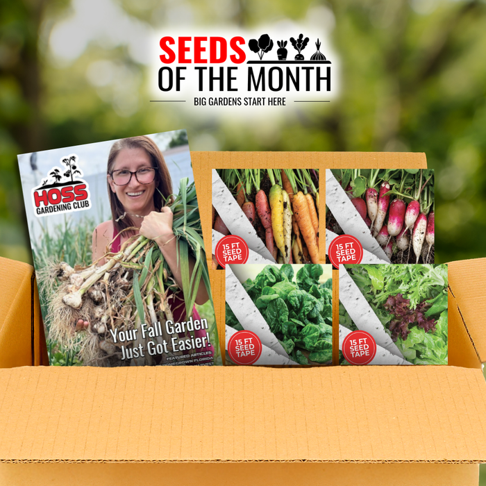 Open Seeds of the Month subscription box featuring four fall seed varieties—carrots, radishes, spinach, and lettuce—alongside a Hoss Gardening Club fall gardening guide.