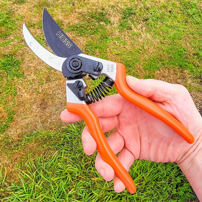 Hoss Pruning Shears in hand