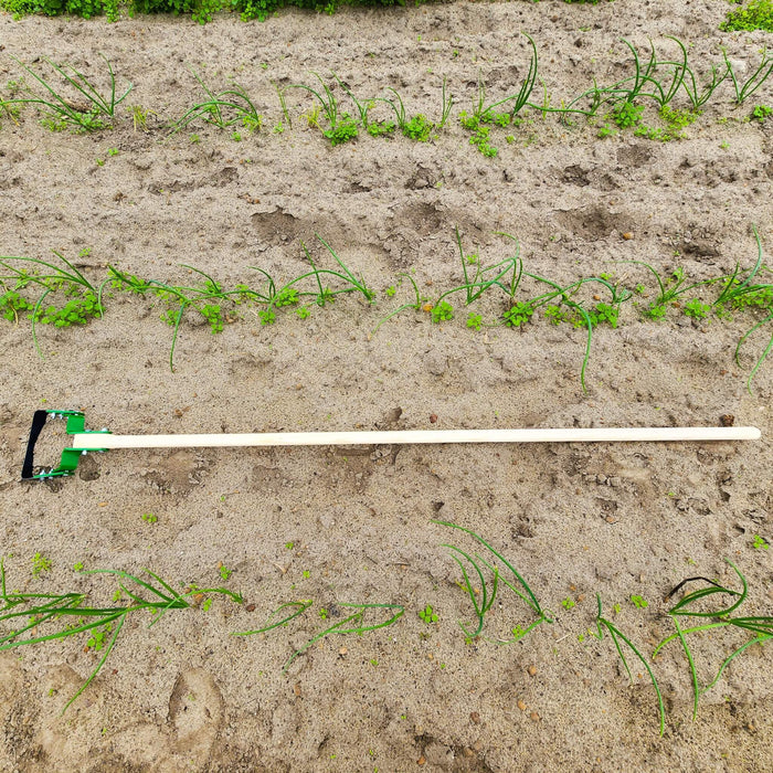 Hoss Stirrup Hoe laid in a garden