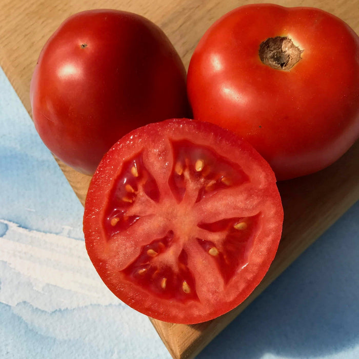 Jersey Breeze Tomato | Hudson Valley Seed Co