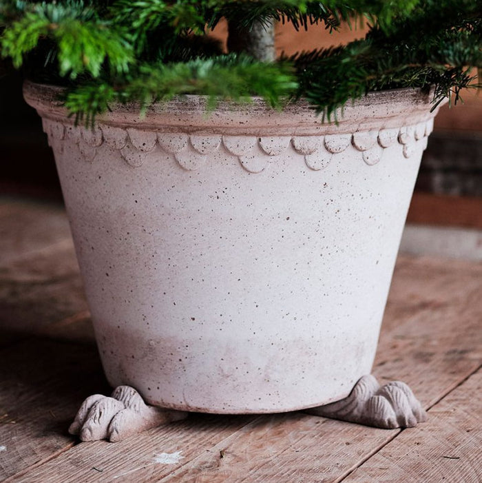 Lion Paw Feet | Bergs Potter