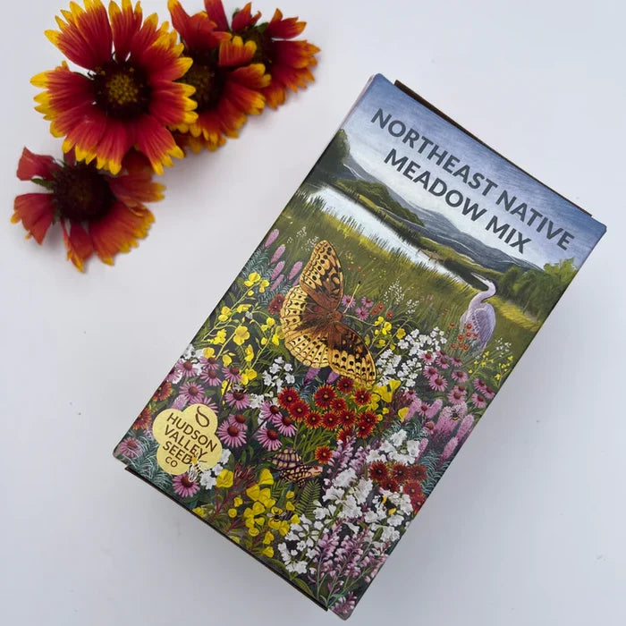 Northeast Native Wildflower Mix Seed Shaker | Hudson Valley Seed Co