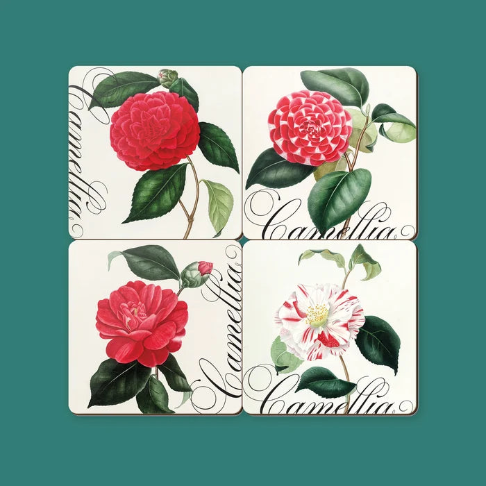 NYBG Camellia Coasters