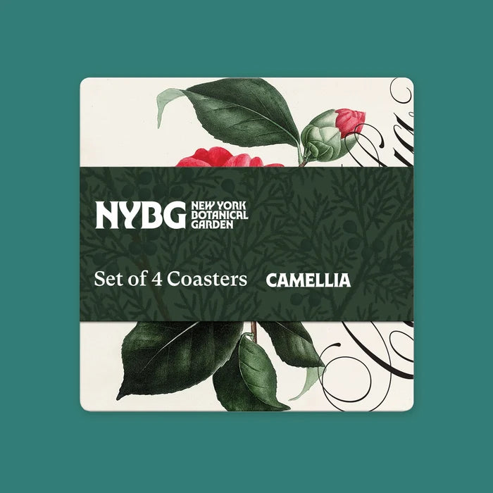 NYBG Camellia Coasters