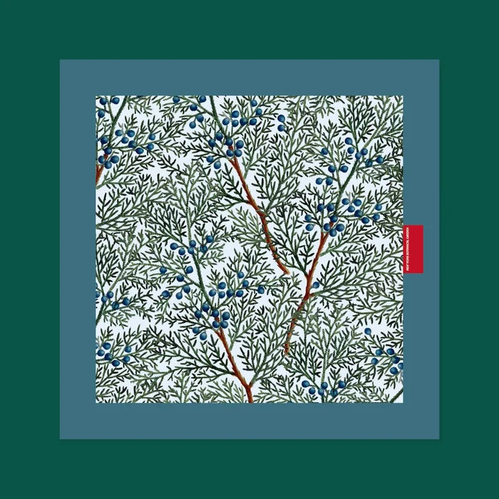 NYBG Juniper Silk Scarf
