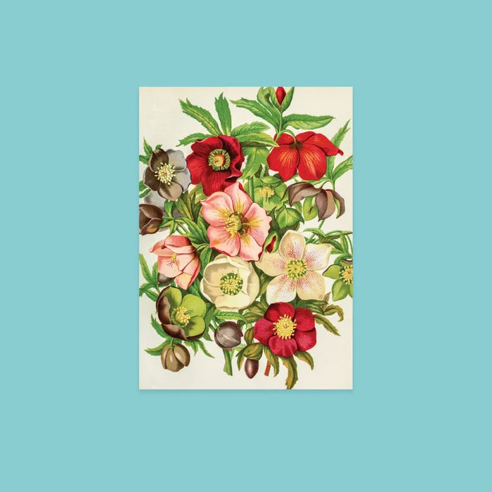 NYBG Winter Florals | Set of 10 Postcards