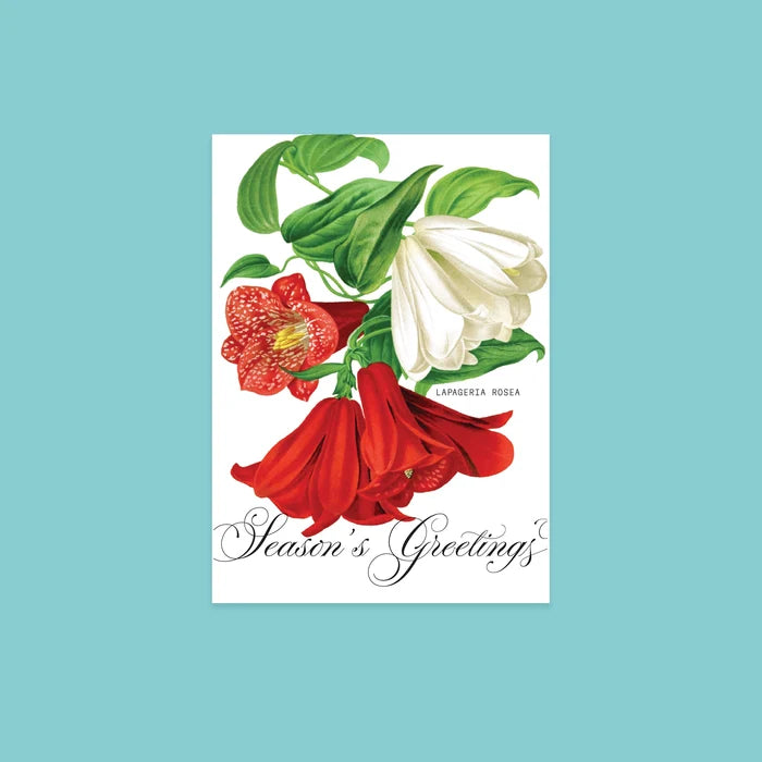NYBG Winter Florals | Set of 10 Postcards