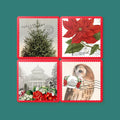 NYBG Winter Garden Coasters