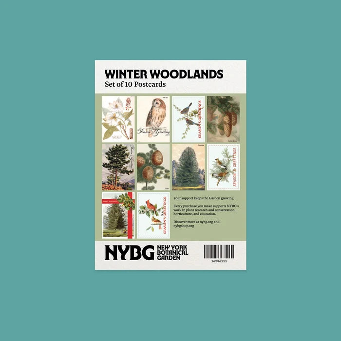 NYBG Winter Woodlands | Set of 10 Postcards
