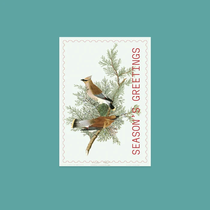 NYBG Winter Woodlands | Set of 10 Postcards