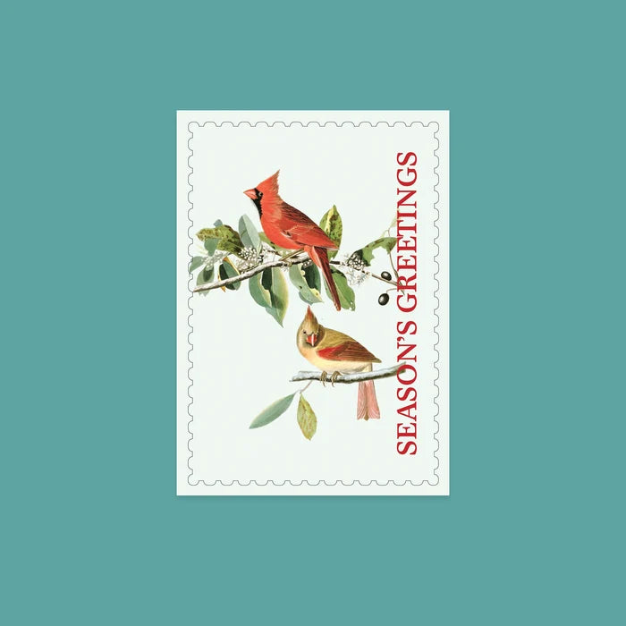 NYBG Winter Woodlands | Set of 10 Postcards