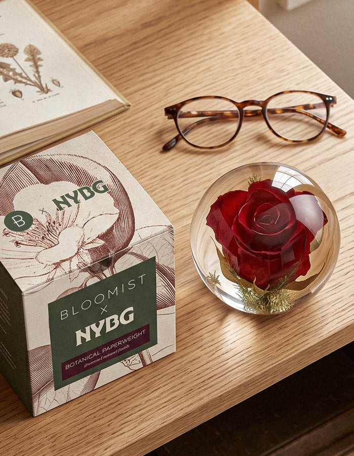 NYBG x BLOOMIST Rose Botanical Resin Paperweight