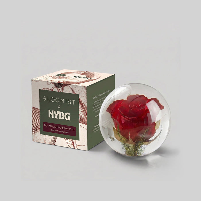 NYBG x BLOOMIST Rose Botanical Resin Paperweight