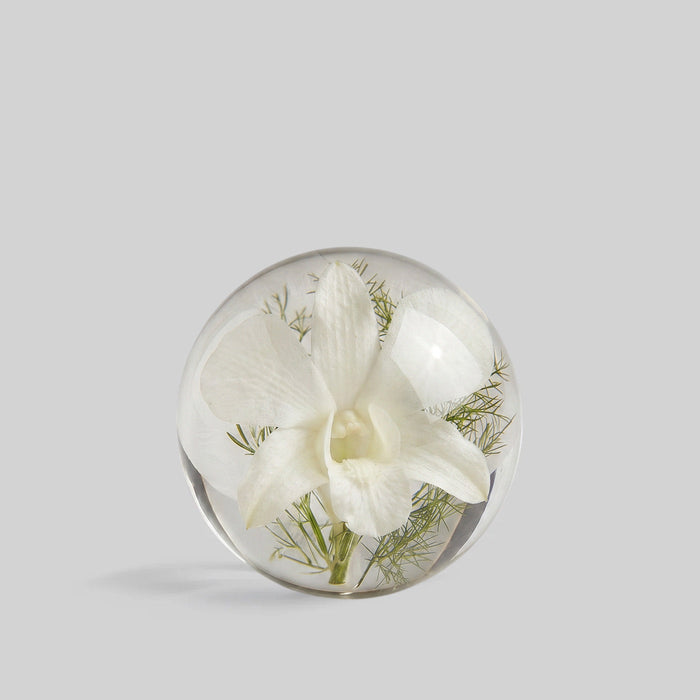 NYBG x BLOOMIST White Orchid Botanical Resin Paperweight
