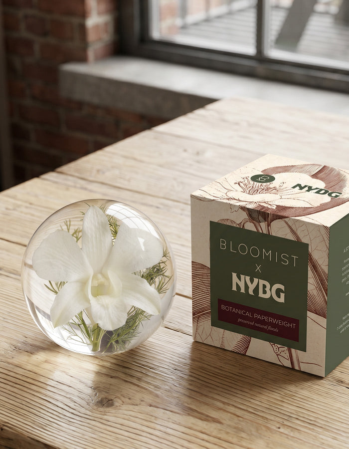 NYBG x BLOOMIST White Orchid Botanical Resin Paperweight
