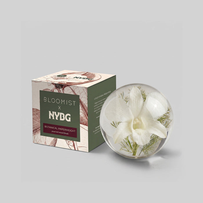 NYBG x BLOOMIST White Orchid Botanical Resin Paperweight