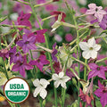 Perfect Flower Mix|Seed Savers