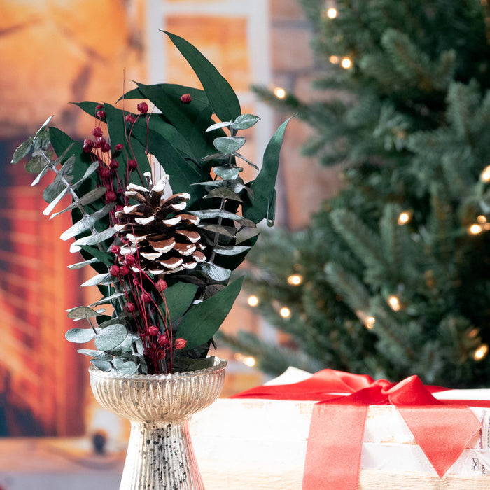 Petite Winter 12" Bouquet: Baby Eucalyptus & White Tip PC | Andaluca