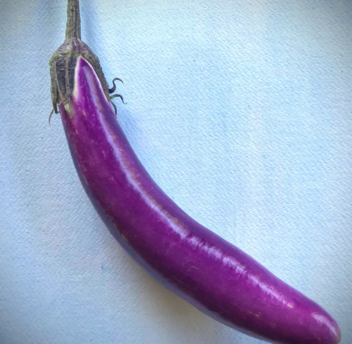 Ping Tung Eggplant | Hudson Valley Seed Co