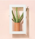 Portrait Growframe - Matte White