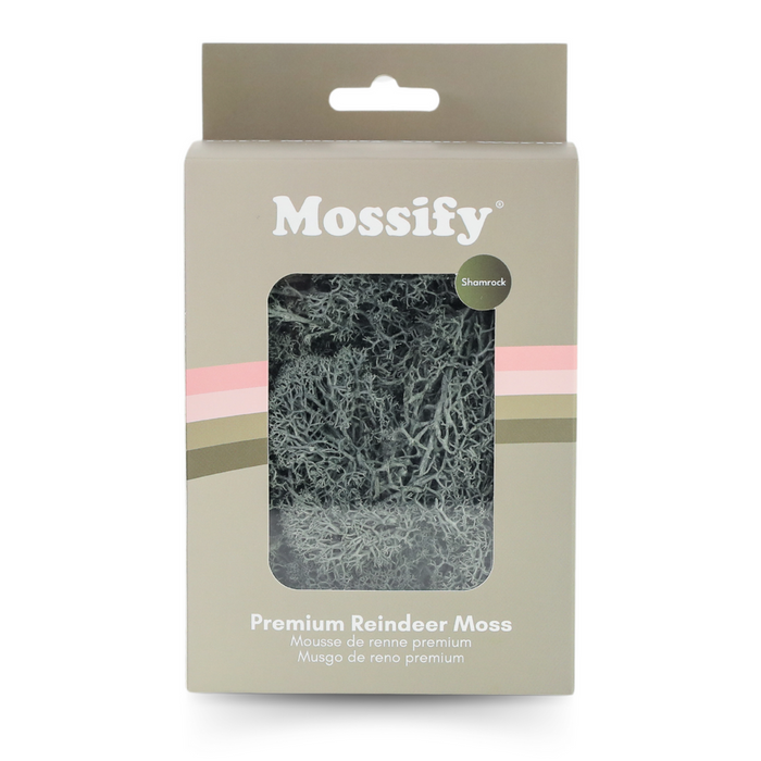 Preserved Reindeer Moss Shamrock 60g | Mossify