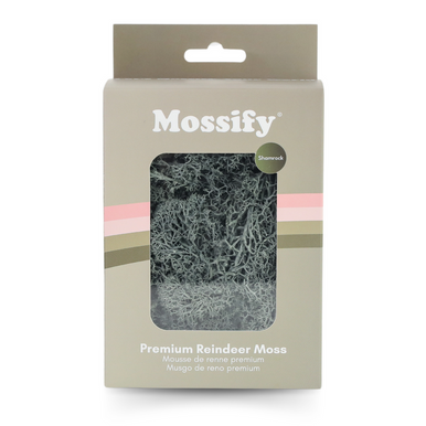 Preserved Reindeer Moss Shamrock 60g | Mossify