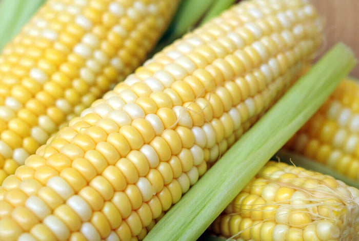 Primus Sweet Corn