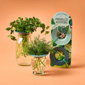 Produce Keepers | Modern Sprout