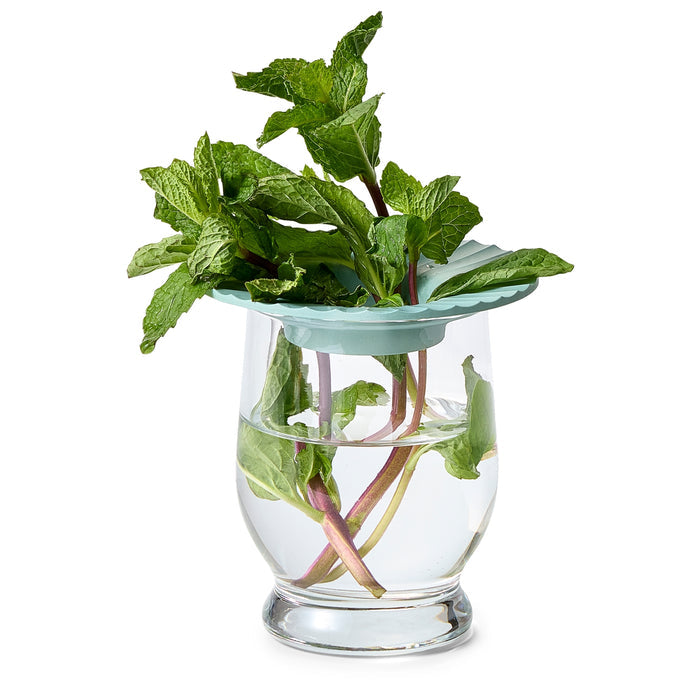 Produce Keepers | Modern Sprout