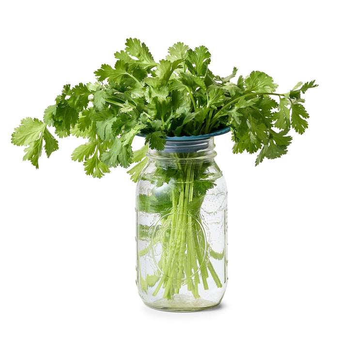Produce Keepers | Modern Sprout