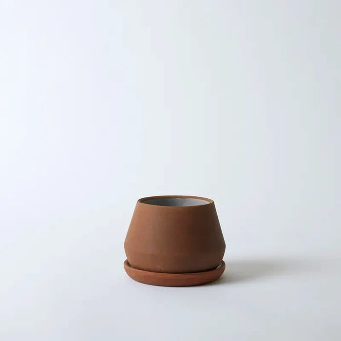 Terra / 5 Inch