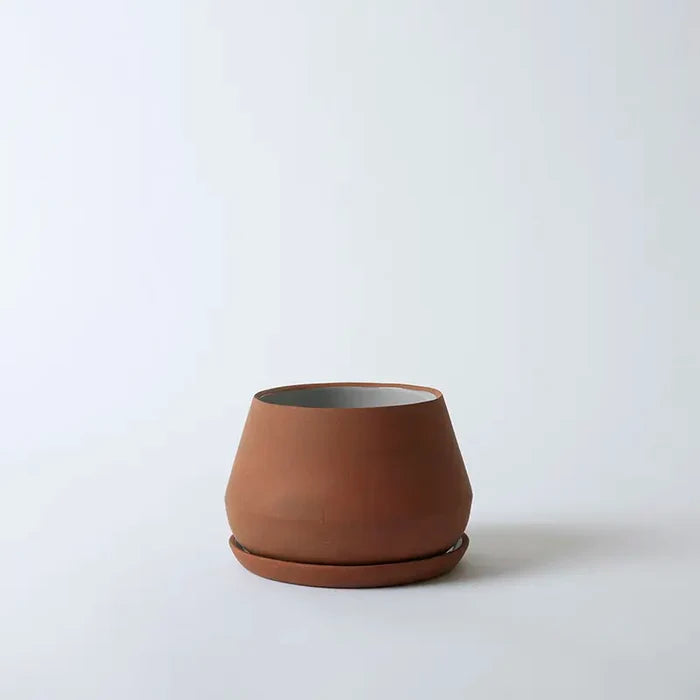 Terra / 6 Inch