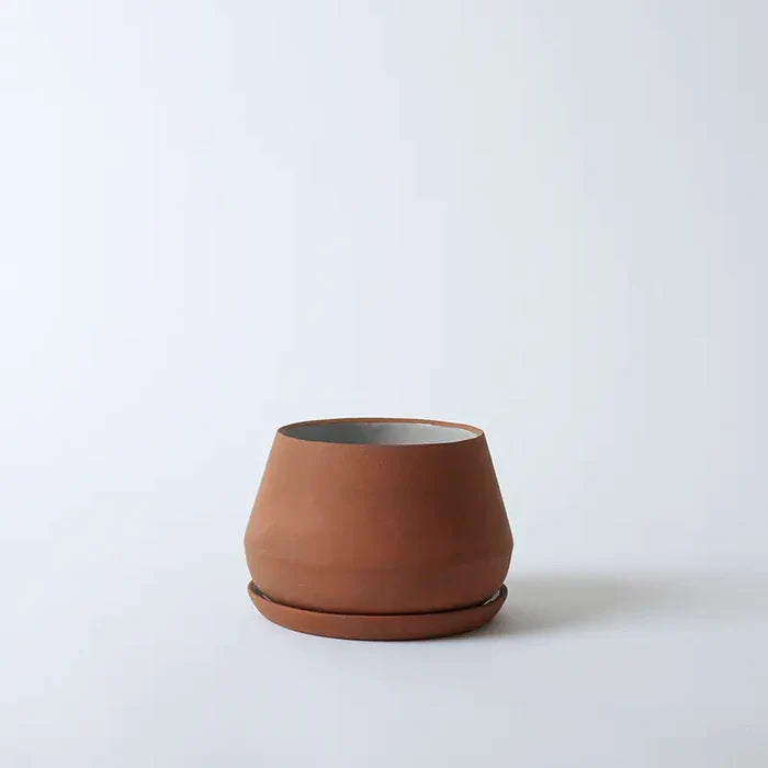 Terra / 7 Inch