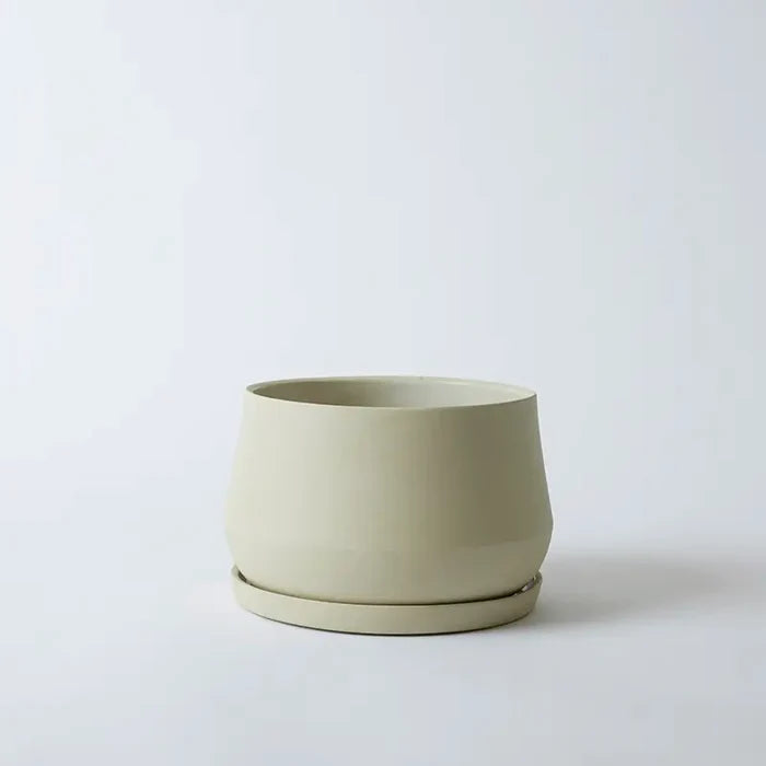 Rancho Planter
