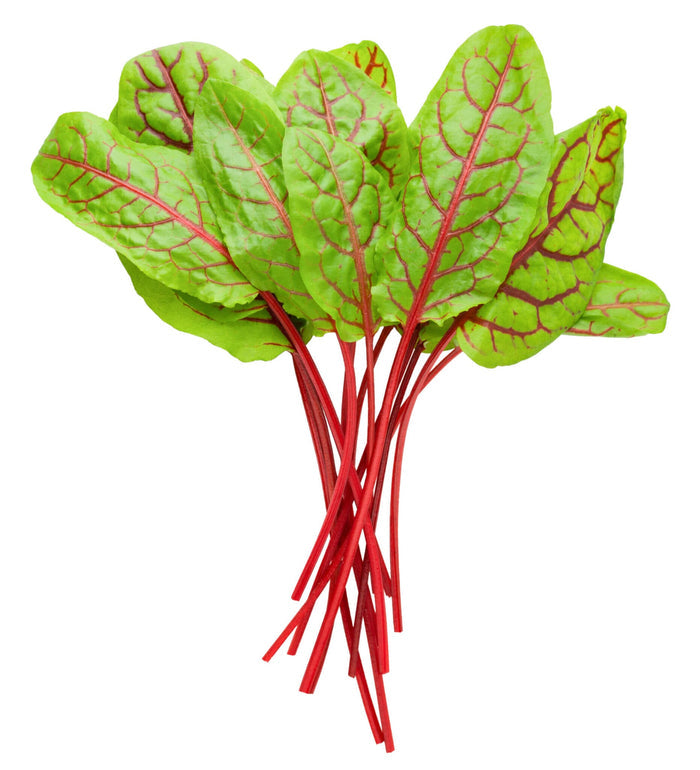 Red Panda Sorrel