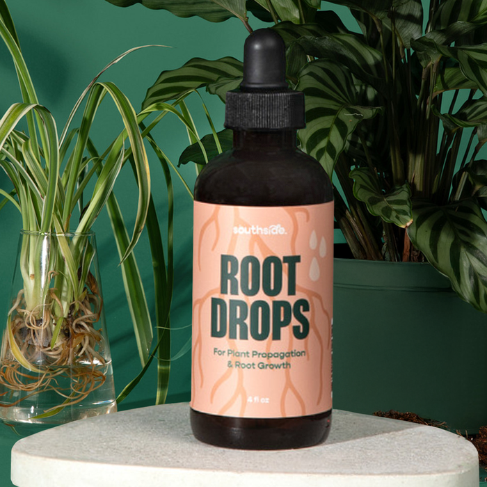 Root Drops | Southside.
