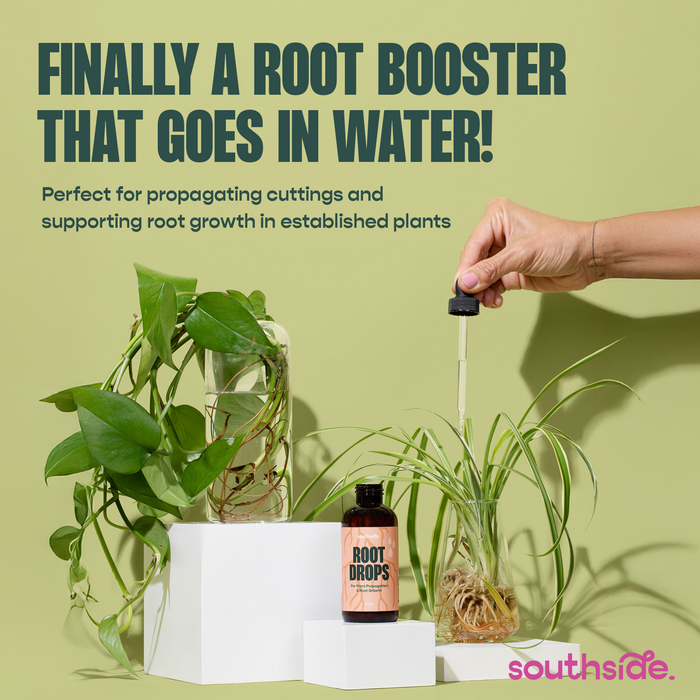 Root Drops | Southside.