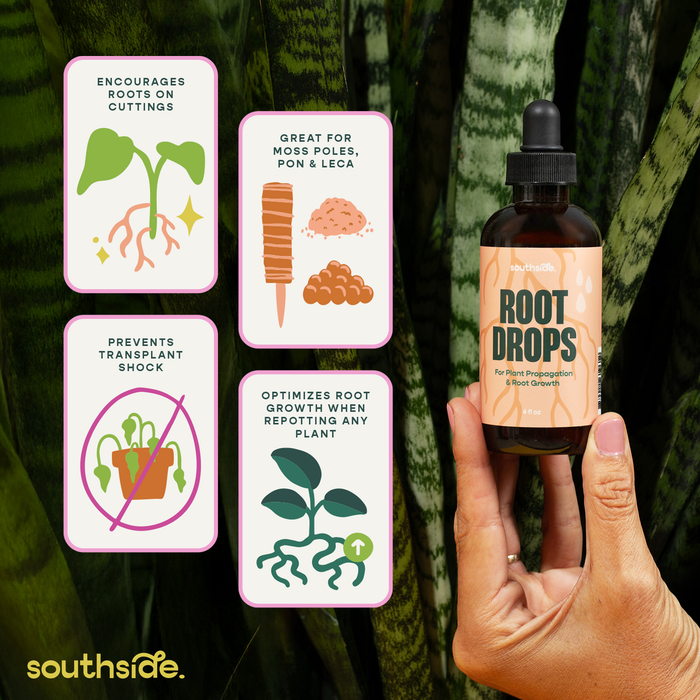 Root Drops | Southside.